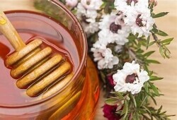 pot of pure runny honey with a honey stick next to some white flowers on a grass backdrop